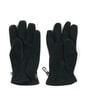 〔BLACK LABEL〕：POLARTEC グローブ